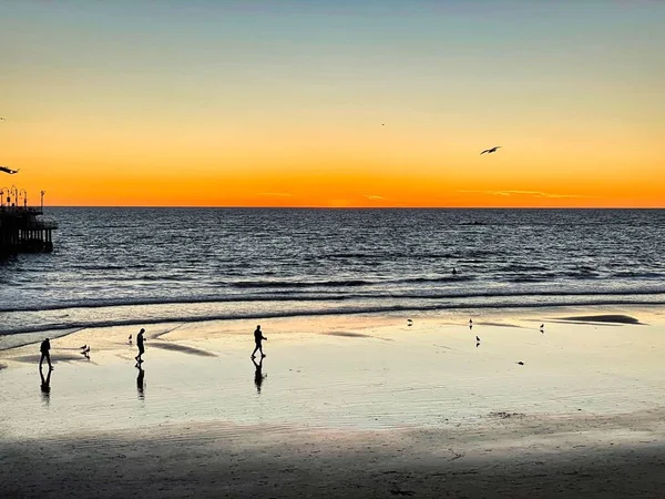 Силуети Людей Птахів Піщаному Пляжі Фоні Заходу Сонця — стокове фото