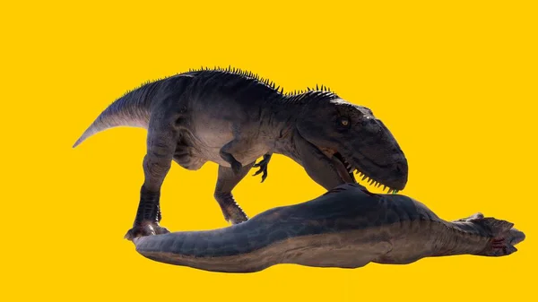 一只恐龙正在吃另一种恐龙的图片 这种恐龙在黄色的空白背景下被隔离开来 — 图库照片