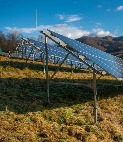 Eine Photovoltaik Anlage Auf Dem Feld Der Nähe Des Waldes — Stockfoto