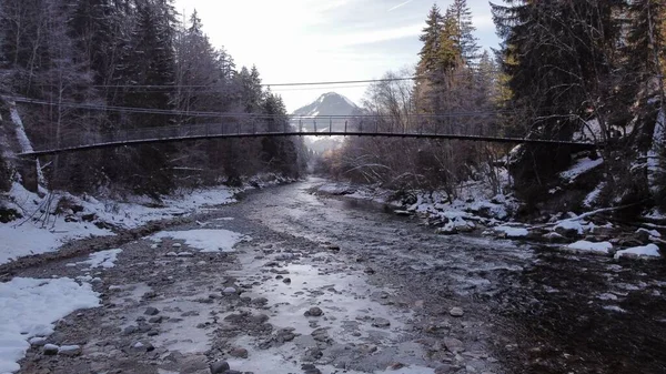 Zbliżenie Ujęcia Zamarzniętej Rzeki Metalowy Most Nad Nią Otoczony Jodłami — Zdjęcie stockowe