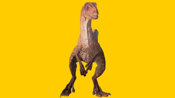 Velociraptor Üvöltő Dinoszaurusz Izolált Sárga Üres Háttér — Stock Fotó
