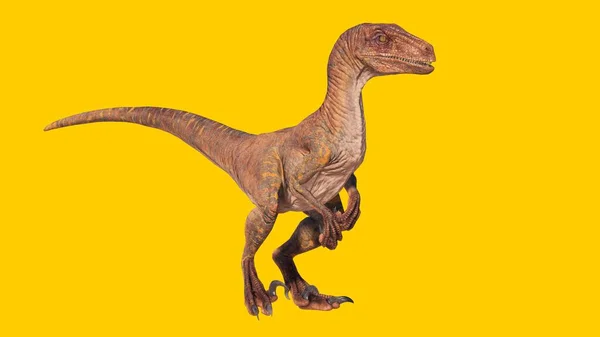 노란색 배경에 고립된 랍토르 공룡을 — 스톡 사진