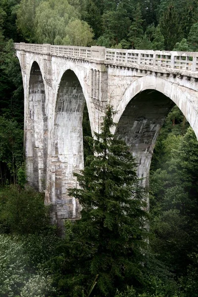 Μια Κάθετη Λήψη Της Ιστορικής Σιδηροδρομικής Γέφυρας Στο Stanczyki Mazury — Φωτογραφία Αρχείου