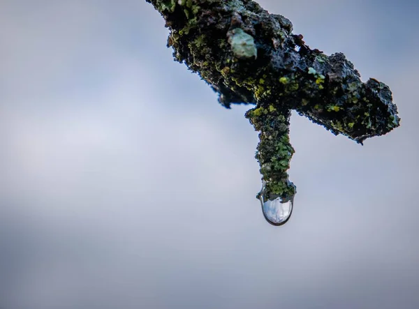 Closeup Shot Water Droplet Hanging Rocky Mossy Structure — Stock Photo, Image