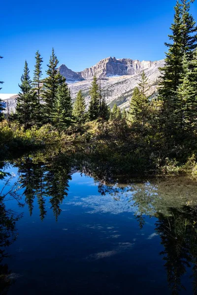 Superficie Lago Con Reflejo Bosque Verde Los Alrededores Una Montaña — Foto de Stock