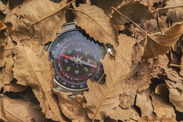 Nahaufnahme Eines Trockenen Blättern Berg Versteckten Kompasses Mit Einer Spur — Stockfoto