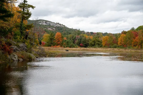 湖の近くの紅葉の美しい景色 — ストック写真