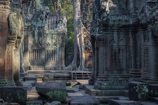 Piękne Ujęcie Prohm Temple Angkor Wat Kompleks Świątyni Kambodży — Zdjęcie stockowe