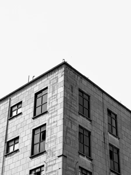 Eine Vertikale Graustufe Der Außenansicht Der Ecke Eines Steingebäudes Den — Stockfoto