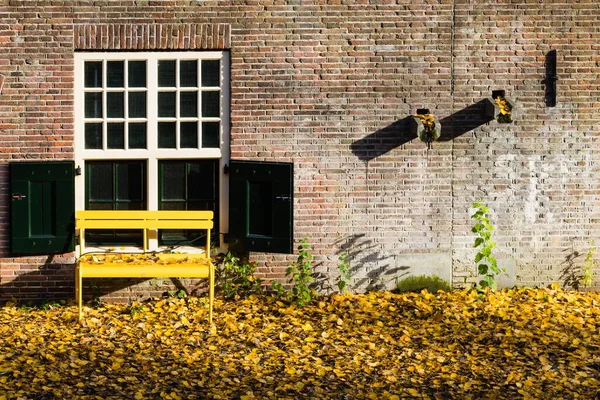 Closeup Yellow Bench Autumn Leaves Historic City Center Utrecht Netherlands — Stock Photo, Image