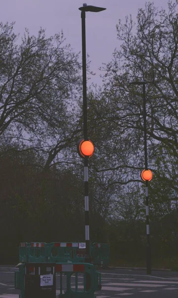 Вертикальный Снимок Светящихся Уличных Фонарей Мрачном Парке Лондоне Великобритания — стоковое фото