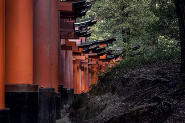 Temple Bouddhiste Kiyomizu Dera Kyoto Japon Entouré Arbres Verts Par — Photo