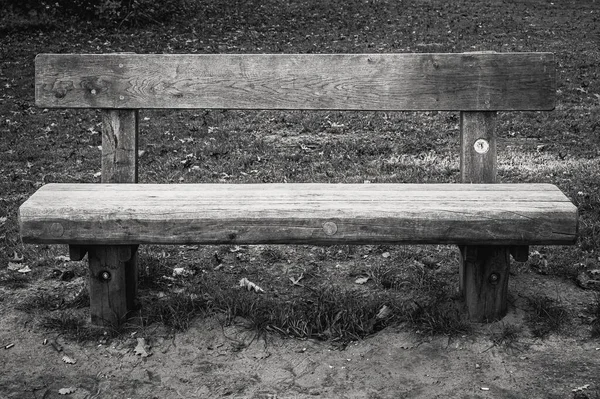 Šedivý Záběr Dřevěné Lavičky Parku — Stock fotografie