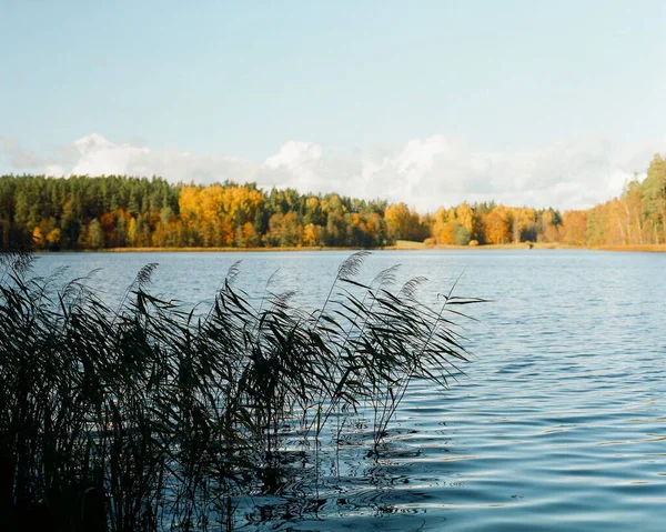 Malownicze Jezioro Kolorowym Jesiennym Lasem — Zdjęcie stockowe