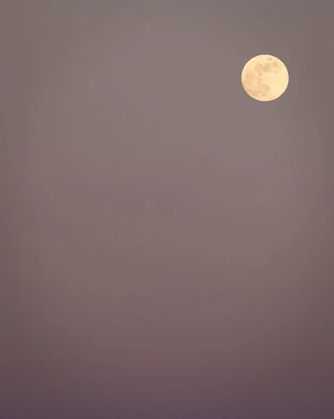 Colpo Verticale Una Luna Piena Brillante Nel Cielo Rosa Tramonto — Foto Stock