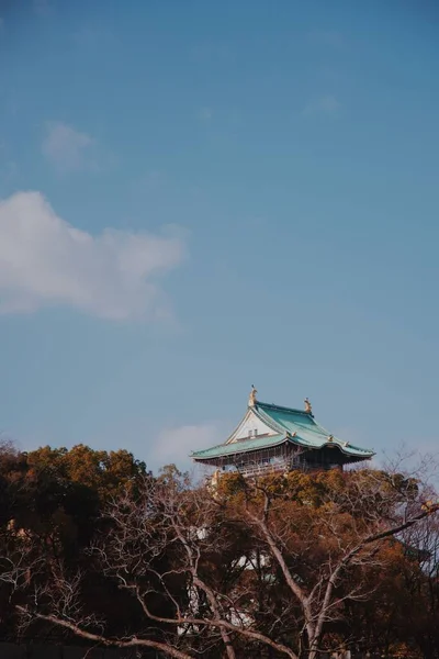 Ένα Κάθετο Πλάνο Του Κάστρου Της Οσάκα Στην Ιαπωνία Δέντρα — Φωτογραφία Αρχείου