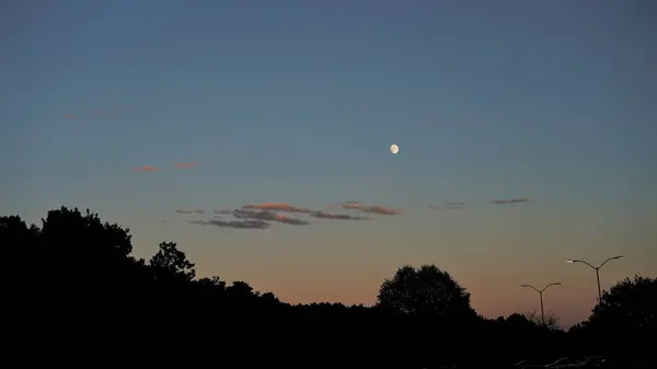 Una Vista Panorámica Del Amanecer Sobre Las Siluetas Los Árboles —  Fotos de Stock