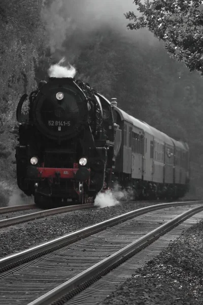 Demiryollarının Sisli Arkaplanı Olan Buharlı Trenin Seçici Rengi — Stok fotoğraf