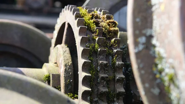 Tiro Seletivo Foco Uma Engrenagem Velha Mecanismo Overgrown Com Musgo — Fotografia de Stock