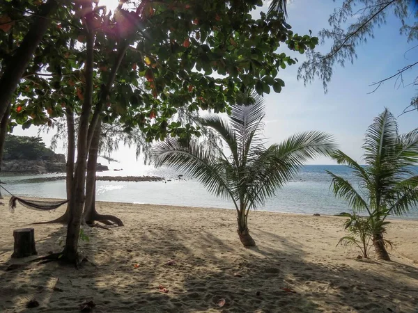 Gyönyörű Tengerpart Paradicsomi Strand Egzotikus Fák Koh Samui Sziget Thaiföld — Stock Fotó