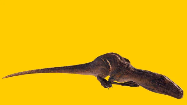 노란색 배경에서 잠자는 랍토르 공룡을 — 스톡 사진