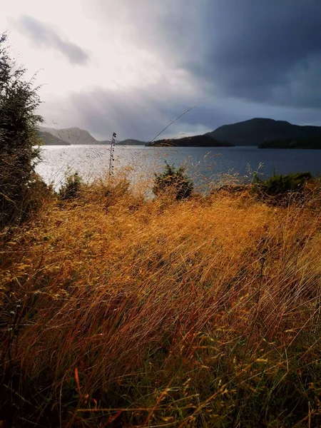 Vertical Shot Long Yellow Grass Lake Mountains Background Cloudy Sky — Stock Photo, Image