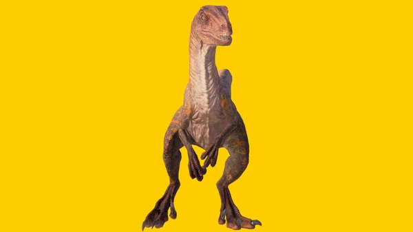 Renderowanie Dinozaura Velociraptor Izolowane Żółtym Tle — Zdjęcie stockowe