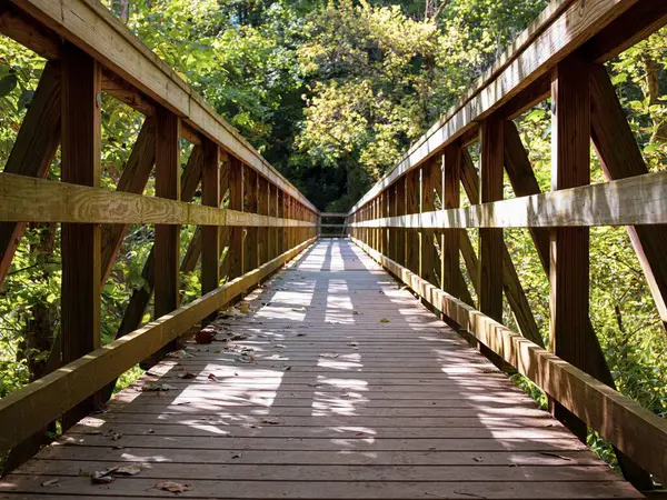 Una Hermosa Vista Puente Madera Bosque — Foto de Stock