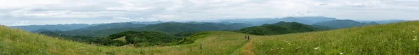 Ein Weiträumiger Blick Auf Die Umliegenden Berge Max Patch — Stockfoto