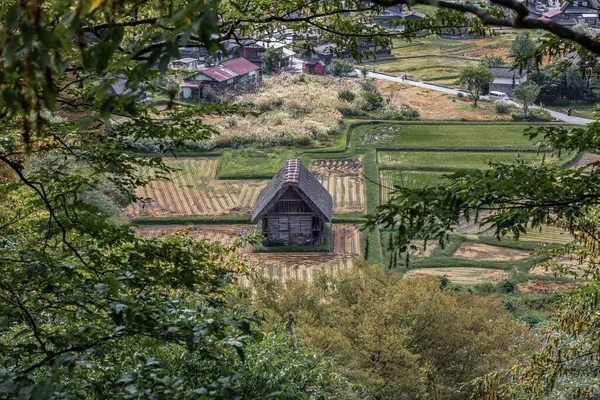Japonya Nın Tarihi Shirakawa Gokayama Köylerinde Tarımsal Tarlalarla Çevrili Ahşap — Stok fotoğraf