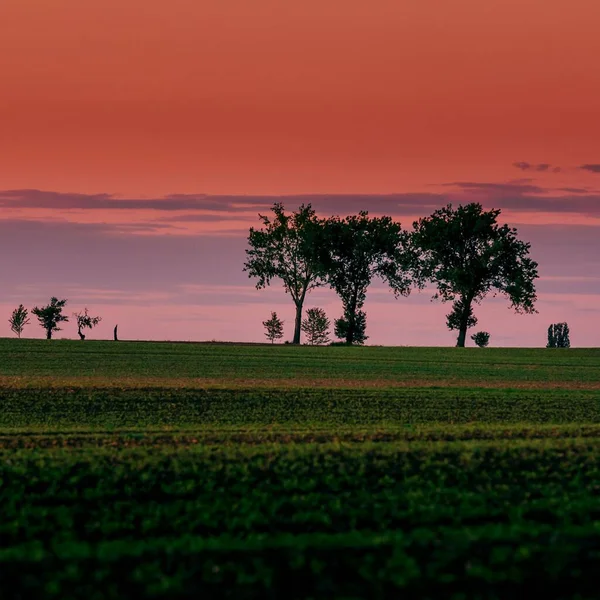 Μια Πολύχρωμη Σκηνή Ηλιοβασιλέματος Πλούσια Δέντρα Μια Φρέσκια Κοιλάδα Ένα — Φωτογραφία Αρχείου