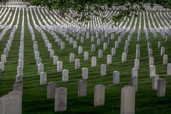 Perfectly Organised White Grave Sites Arlington National Cemetery Washington — Stock Photo, Image