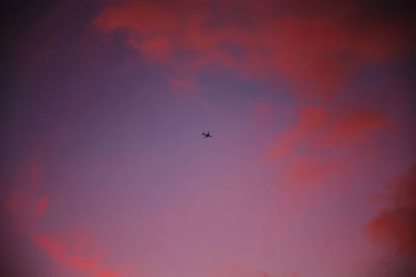 Eine Malerische Ansicht Eines Flugzeugs Das Einem Violetten Himmel Während — Stockfoto