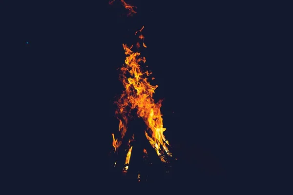 Geceleri Ormanda Bir Şenlik Ateşine Yakın Çekim — Stok fotoğraf