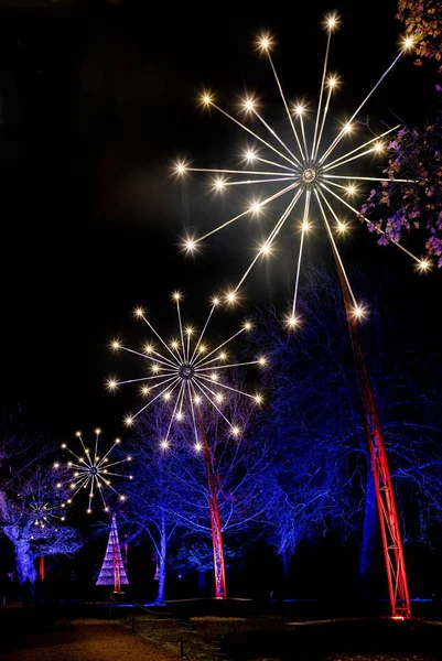 Tiro Vertical Instalações Fogos Artifício Iluminados Blenheim Christmas Lights Trail — Fotografia de Stock