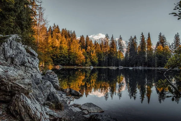秋の木々やアルプスの山々の近くの澄んだ湖の美しいショット — ストック写真