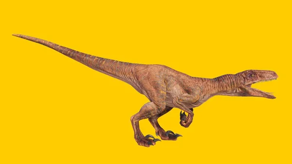 黄色の空の背景に孤立した轟音のヴェロキラプトル恐竜 — ストック写真