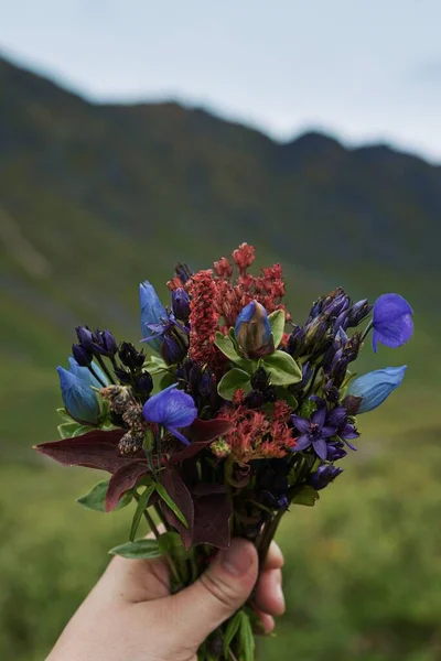 Svislý Pohled Ruku Držící Kytici Květin Aljašky — Stock fotografie
