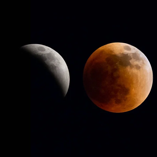 Beau Cliché Une Éclipse Lune Grise Une Lune Sang Dans — Photo