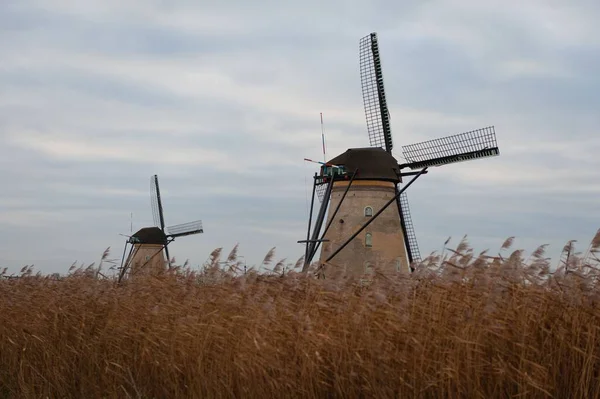 Ανεμόμυλοι Werelderfgoed Kinderdijk Χωράφι Καφέ Γρασίδι Στο Kinderdijk Κάτω Χώρες — Φωτογραφία Αρχείου