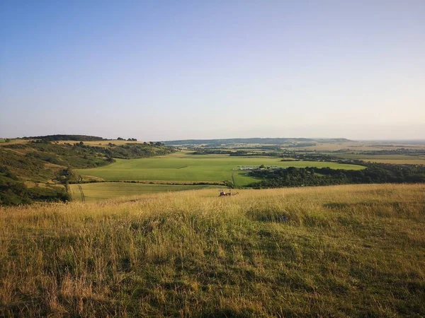 Güneşli bir günde, yazın ağaçlarla çevrili güzel bir tarla.