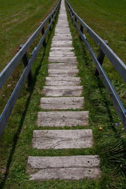 Yeşil bir alanda tahta merdiven izinin dikey çekimi.