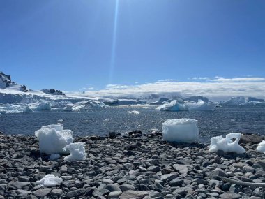 Antarktika 'da okyanus kıyısında buz küplerinin manzaralı bir görüntüsü.
