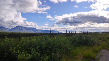 Dağları ve mavi gökyüzü olan yeşil bir tarla.