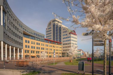 Hollanda 'nın Deventer kentinin güzel mimarisinin manzarası.