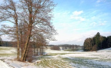 Aşağı Bavyera Almanya 'sında güzel bir kış manzarası
