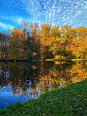 Hollanda, Amsterdam 'da sonbaharda sararan ağaçlarla kaplı bir parktaki nehrin dikey görüntüsü.