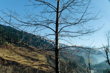 Ama Dablam Dağı 'nın panoramik manzarası Everest ana kampı, Khumbu vadisi, Sagarmatha ulusal parkı, Everest bölgesi yolunda güzel bir gökyüzü.