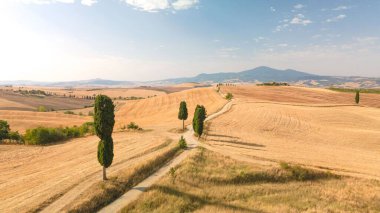 İtalya 'daki Toskana tarlalarının hava manzarası güneşli bir günde görülüyor.