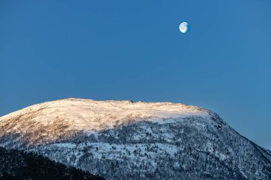 Açık mavi gökyüzünün altındaki karlı orman dağlarının güzel manzarası.